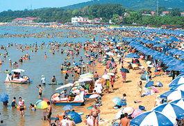 秦皇岛浴场爆料事件最新,事件最新进展及各方回应全解析